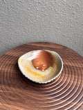 Triangular woodfired stoneware plate with fire shadow markings, Ubud Forest